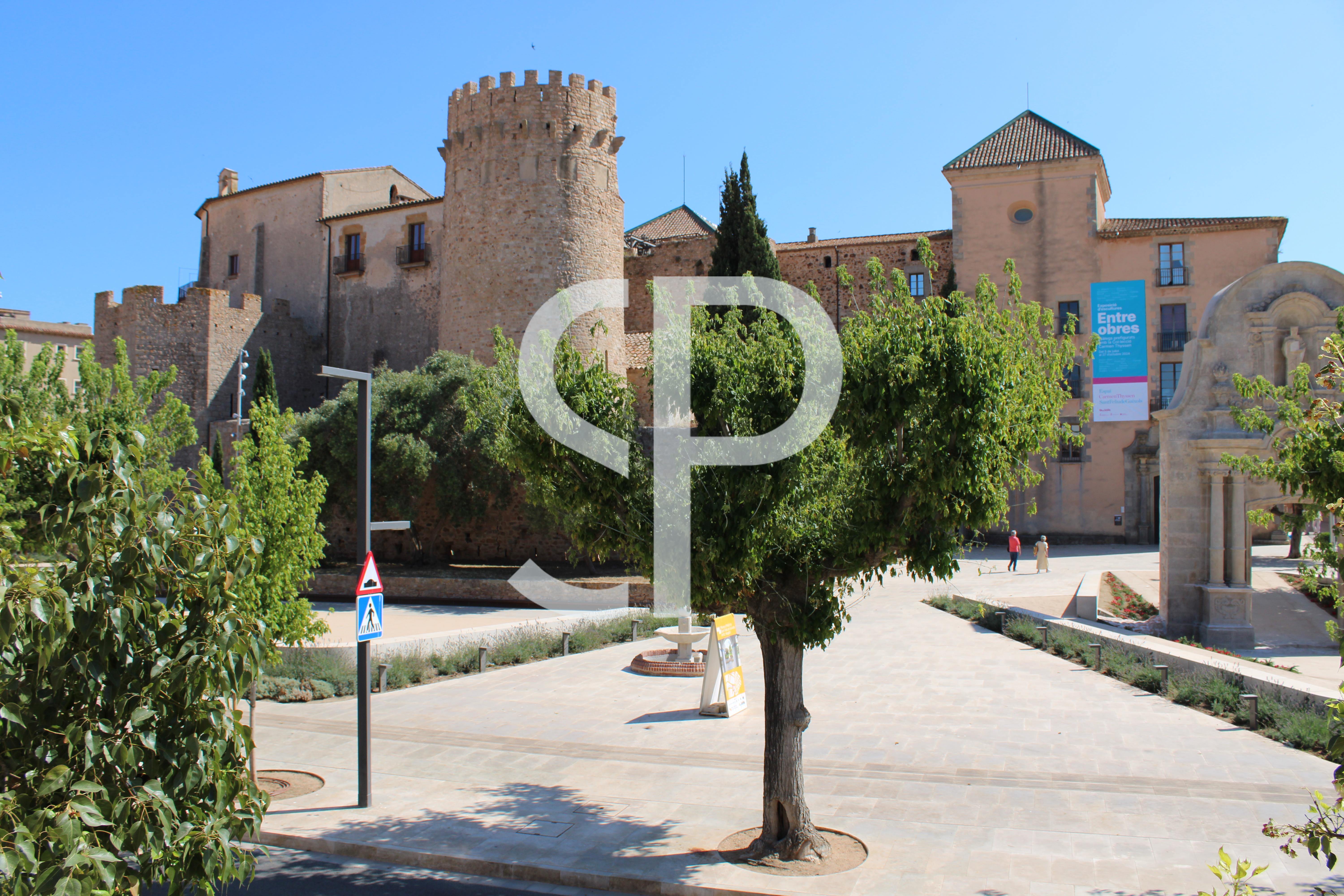 PLAÇA DEL MONESTIR, 17220, 3 Habitacions Habitacions,2 BanysBanys,Casa,Lloguer,PLAÇA DEL MONESTIR,PLAÇA DEL MONESTIR,1049