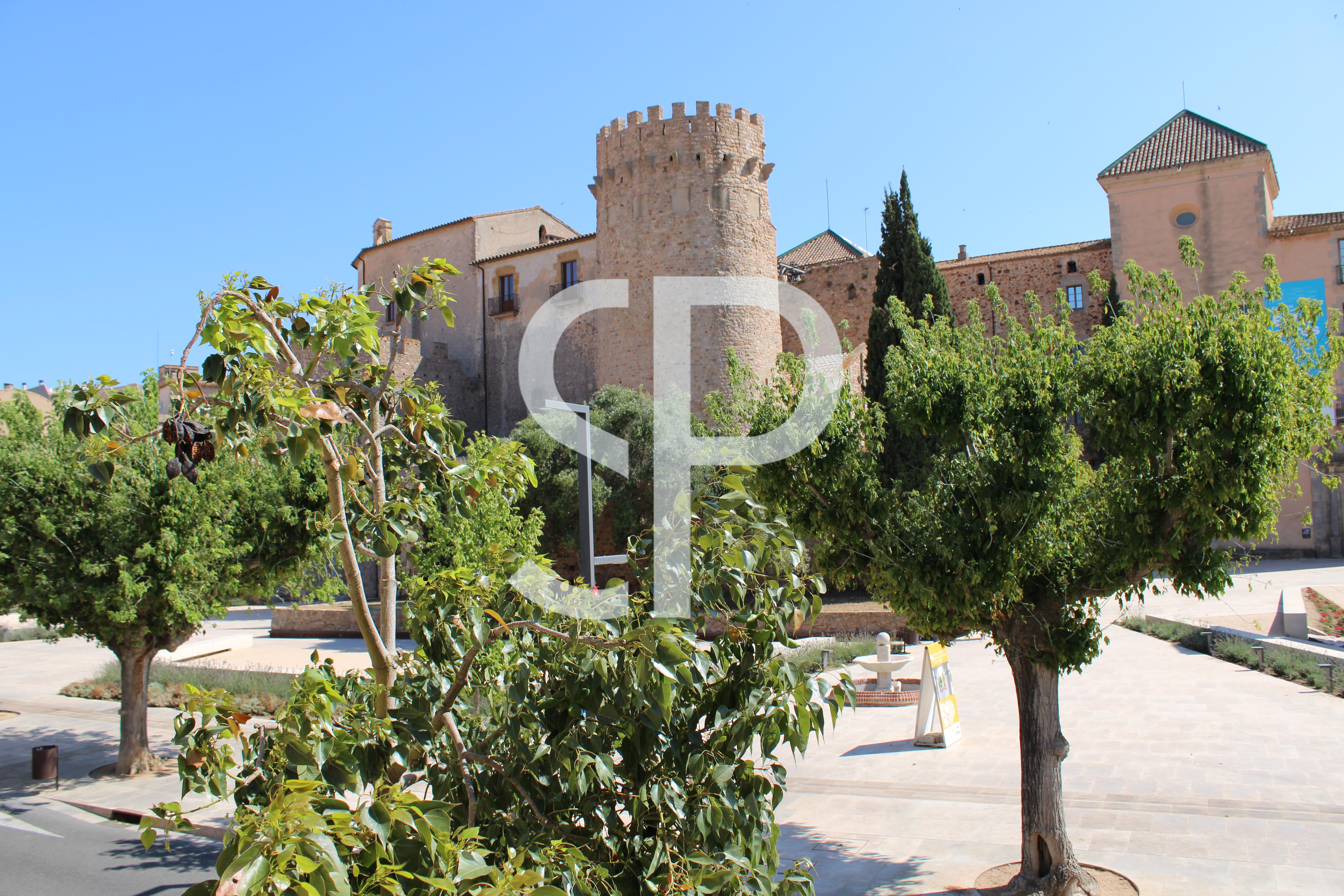 PLAÇA DEL MONESTIR, 17220, 3 Habitacions Habitacions,2 BanysBanys,Casa,Lloguer,PLAÇA DEL MONESTIR,PLAÇA DEL MONESTIR,1049